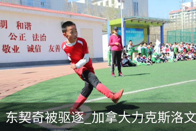 东契奇被驱逐 加拿大力克斯洛文尼亚晋级四强