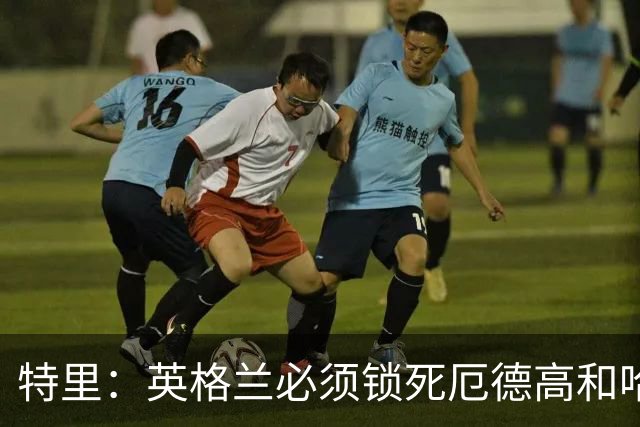 特里：英格兰必须锁死厄德高和哈兰德，这样就有机会赢挪威