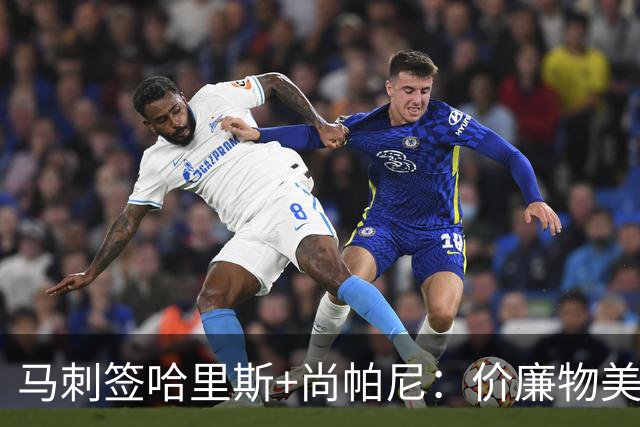 马刺签哈里斯+尚帕尼：价廉物美